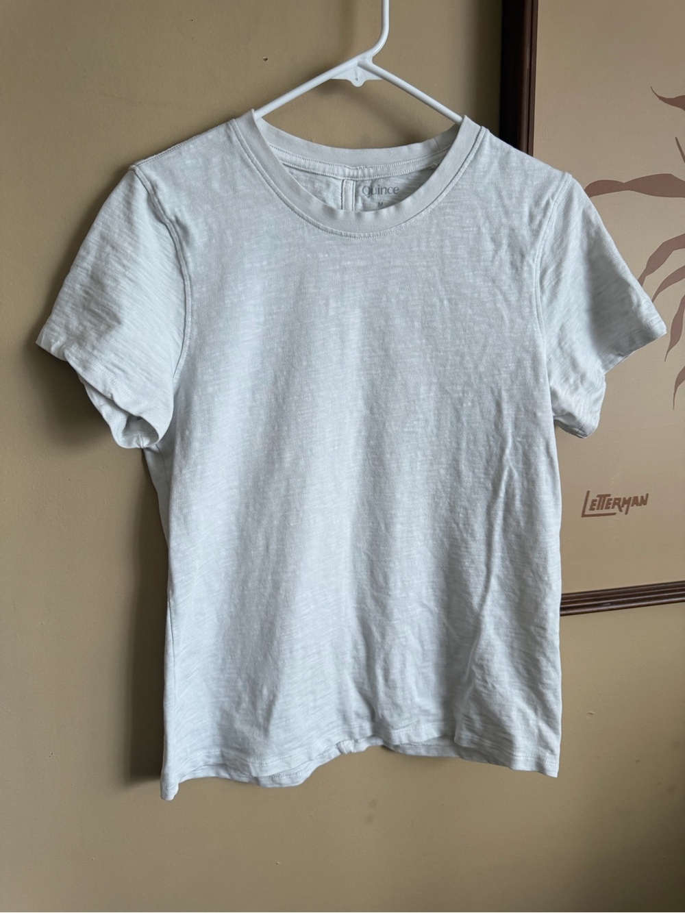 Quince Women's 100% Organic Cotton Slub Crewneck Tee/White/M